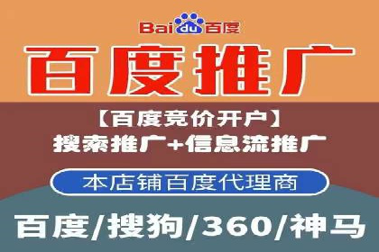 从小白到高手：百度竞价赚钱全记录